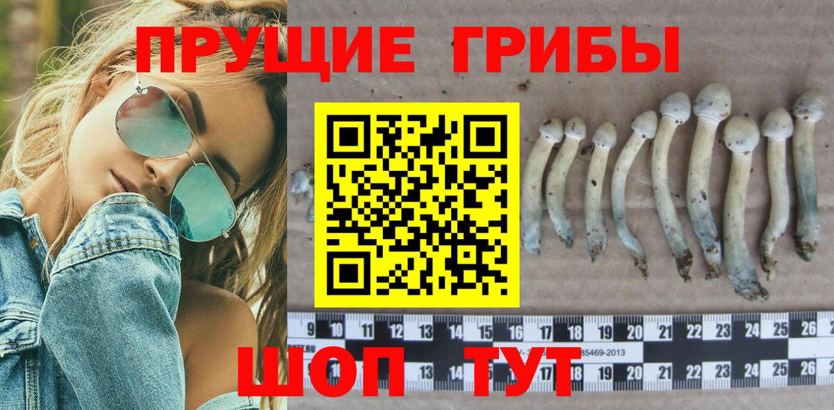Галлюциногенные грибы Cubensis  Галлюциногенные грибы Psilocybine cubensis  купить наркотики сайты  Вход с VPN  Коркино 